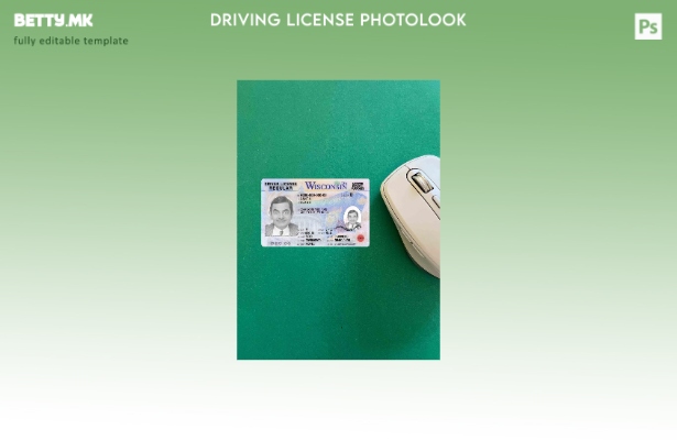 модерен стил USA Wisconsin DL photolook FRONT шаблон